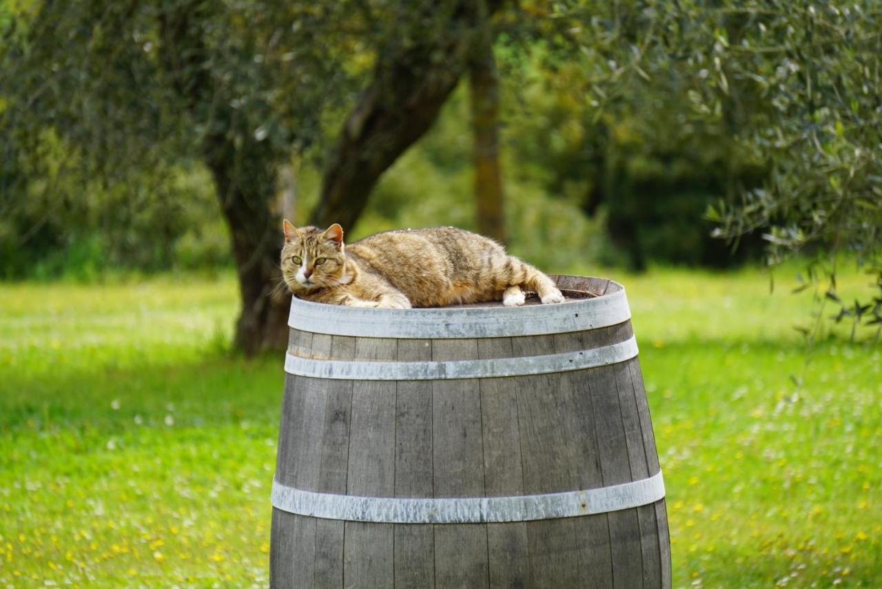Villa Fattoria Lornano Winery Monteriggioni Exterior foto